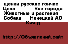 щенки русские гончие › Цена ­ 4 000 - Все города Животные и растения » Собаки   . Ненецкий АО,Кия д.